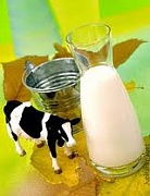 Сырое молоко: полезно или вредно?